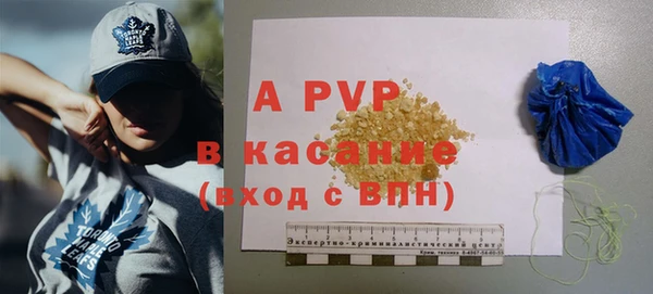 ГАЛЛЮЦИНОГЕННЫЕ ГРИБЫ Заводоуковск