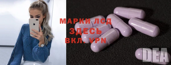 ГАЛЛЮЦИНОГЕННЫЕ ГРИБЫ Заводоуковск