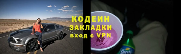 ГАЛЛЮЦИНОГЕННЫЕ ГРИБЫ Заводоуковск