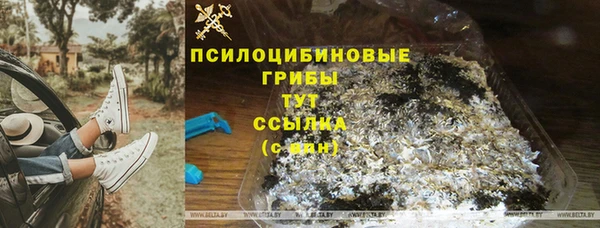 2c-b Заволжье